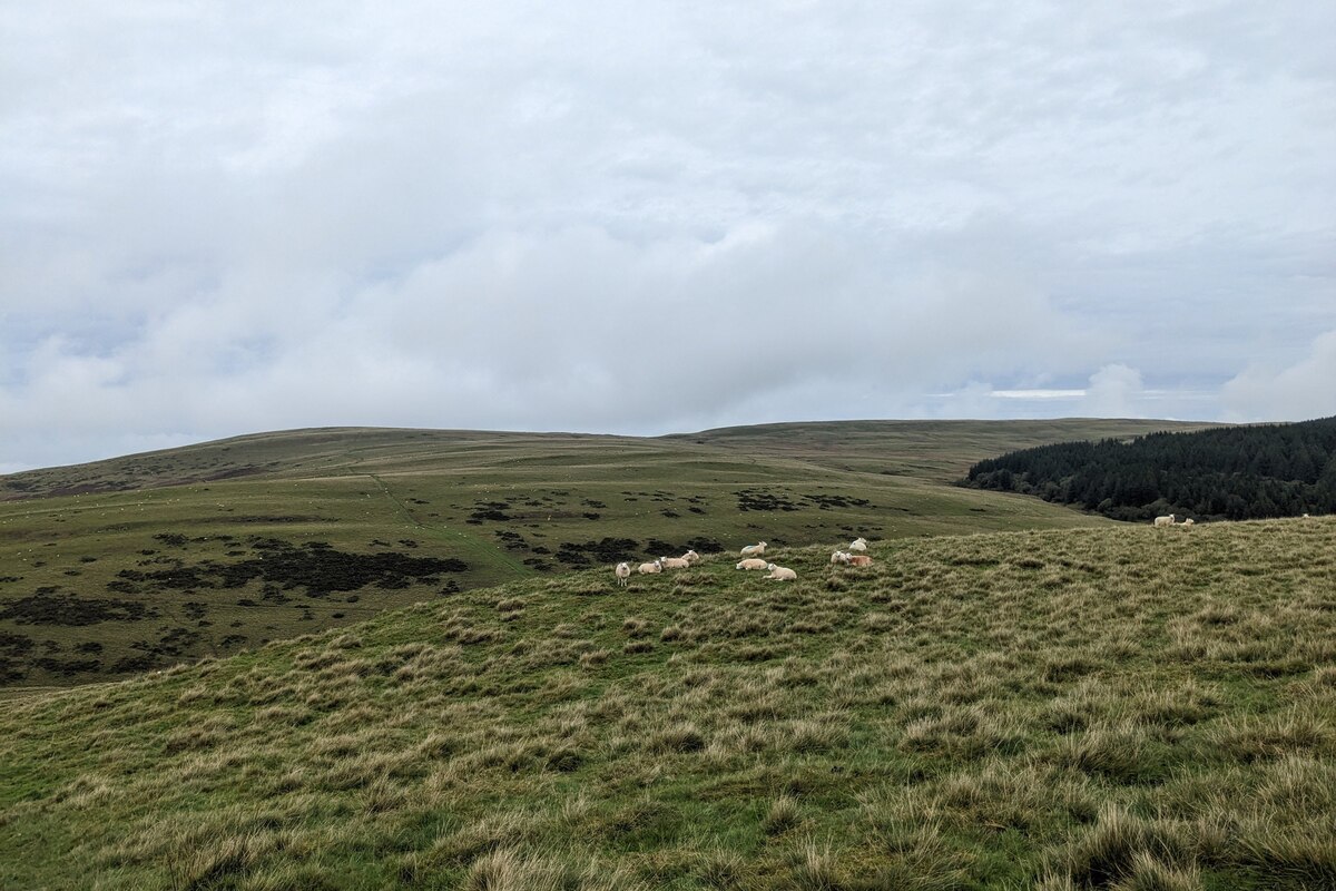 Cover image of Cambrian Way Day 6