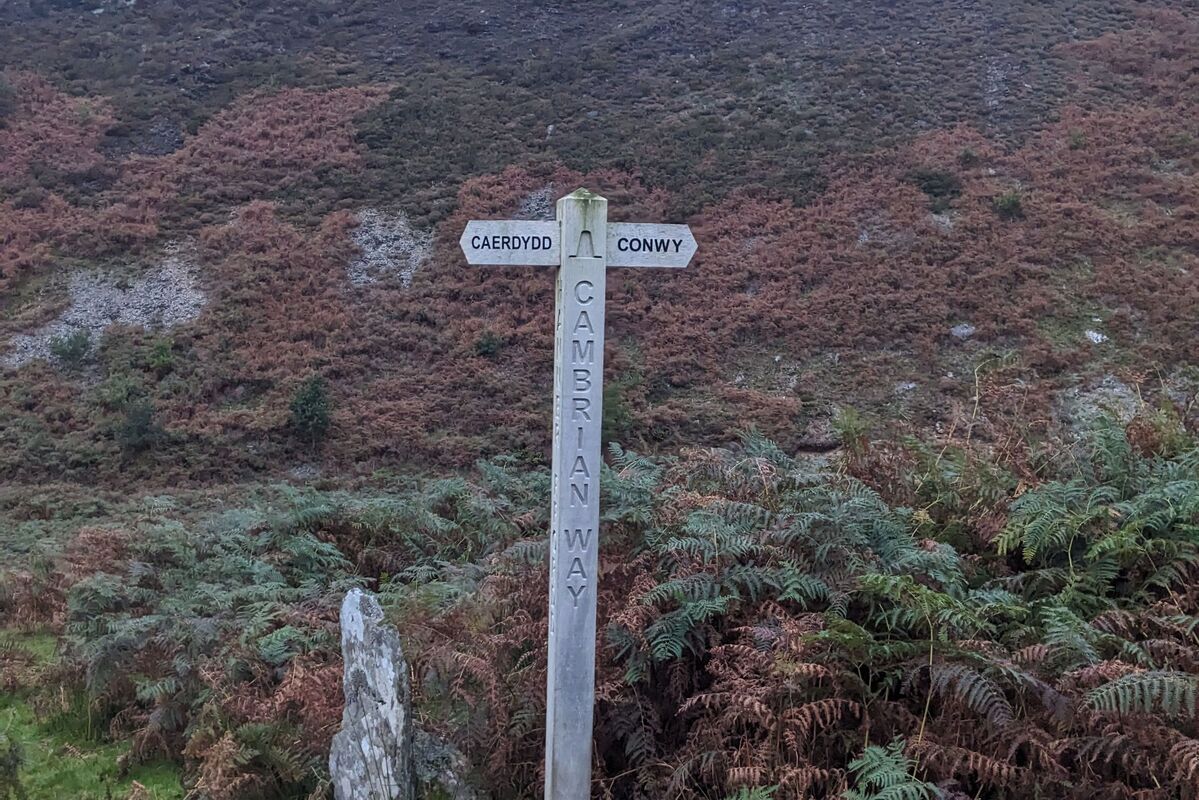 Cover image of The Cambrian Way - ongoing