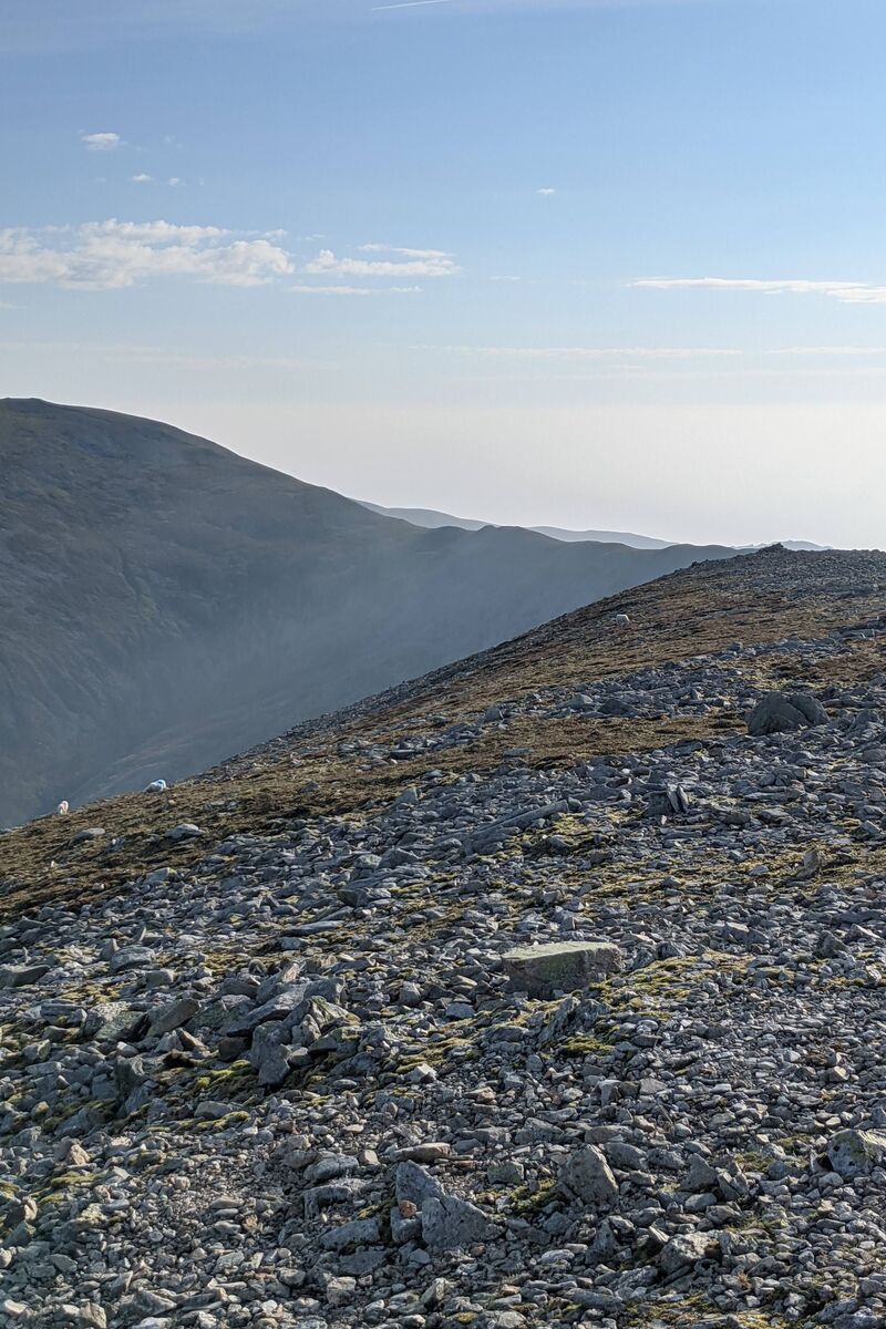 A rocky area on top of a mountain with a squirrel hidden amogst the rocks