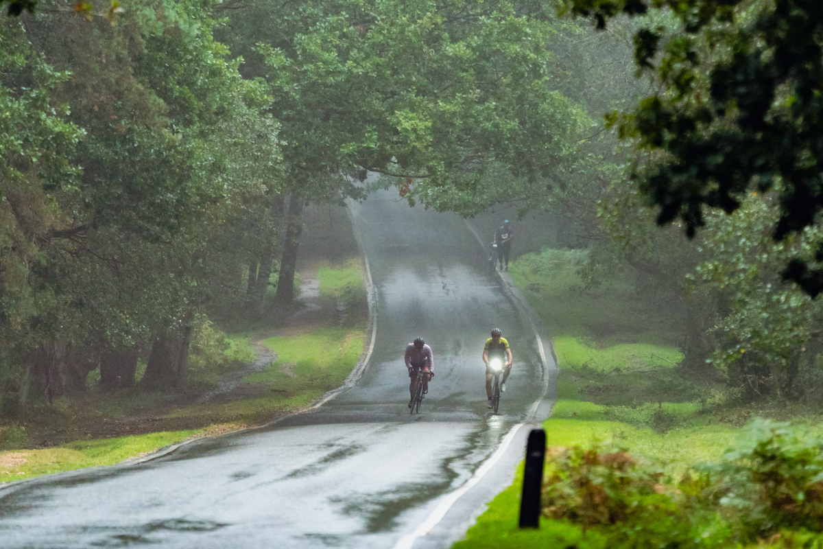 Cover image of New Forest Tour