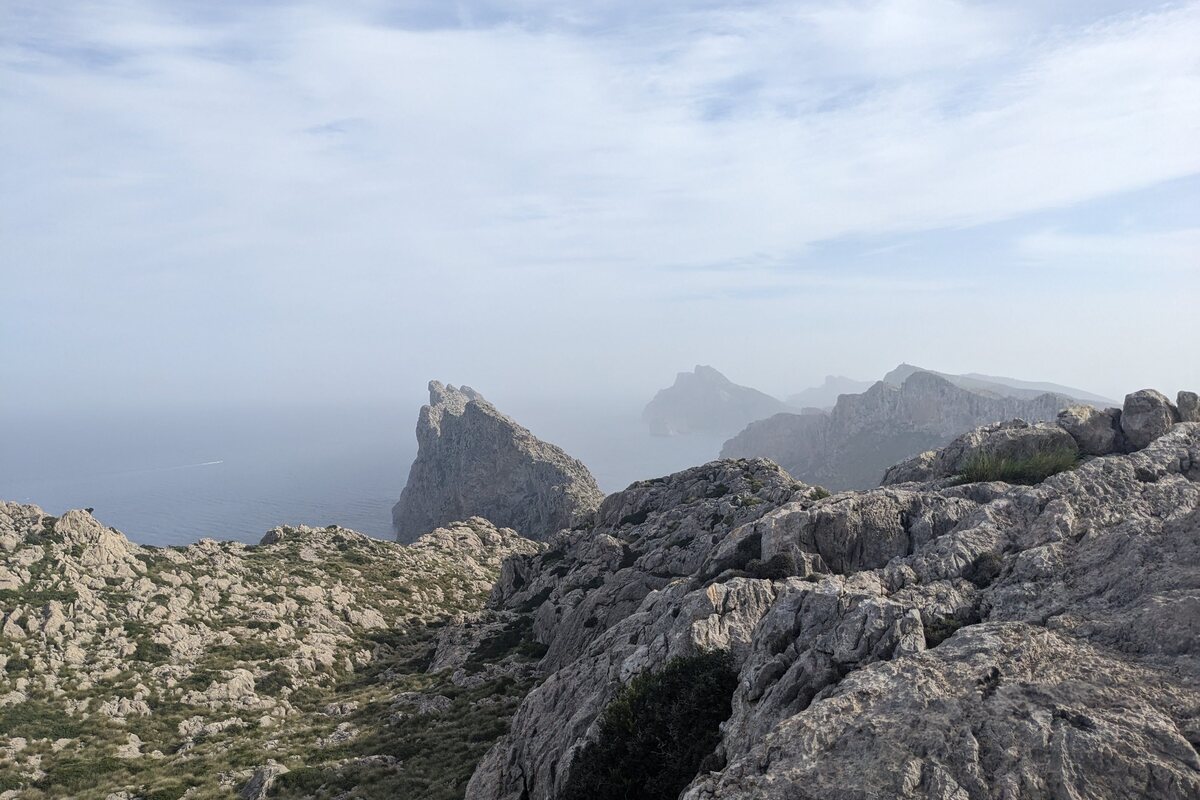 Cover image of Serra del Cavall Bernat